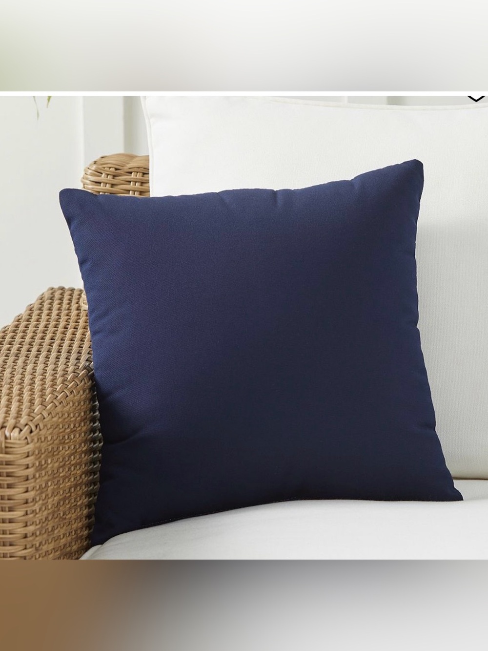 Pottery Barn Pair of Navy Outdoor Accent Pillow with insert